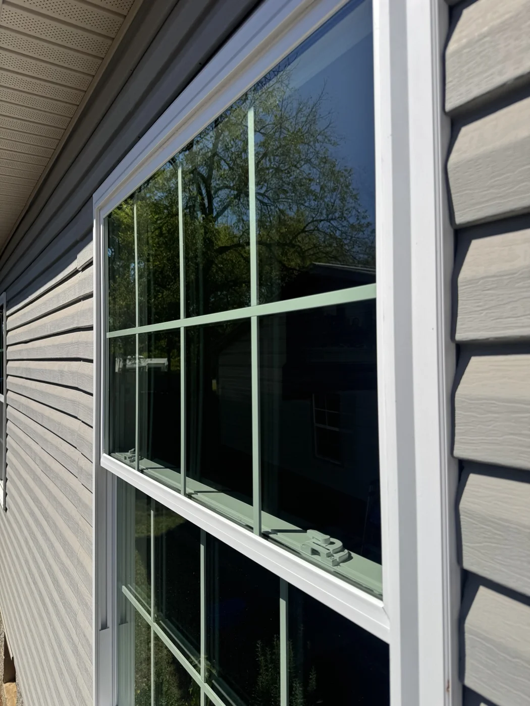 Exterior view of residential windows from Cardinal's job photos