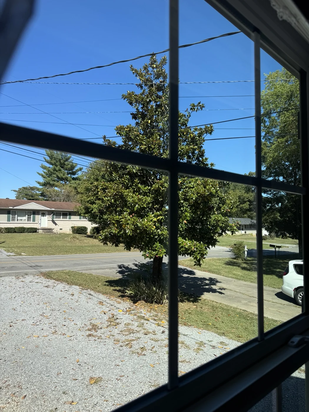 Light through the glass from Cardinal residential job photos